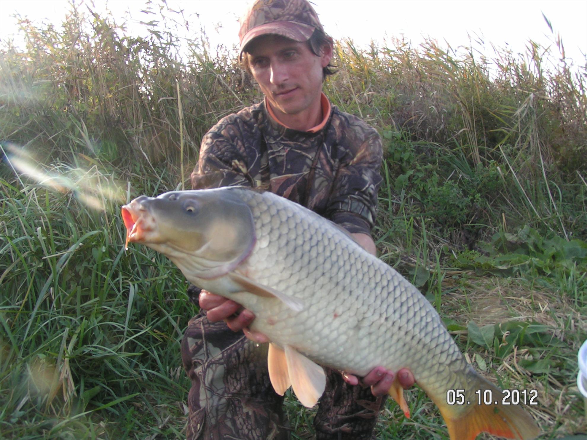 Lates 4-6.10.2012 - pict1146.JPG